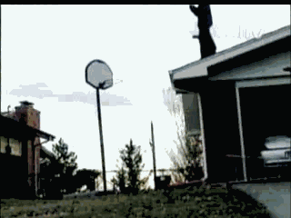 22 Personas que no les fue tan bien con el basquet por viva basquet