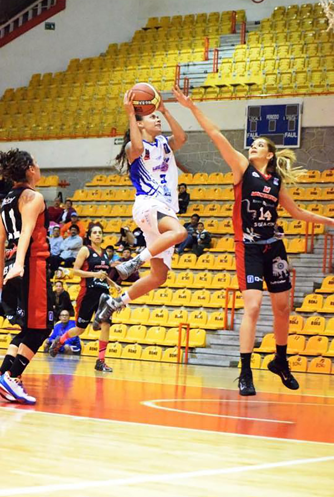 Briana Noel Verde refuerzo extranjero de la LNBPF por viva basquet